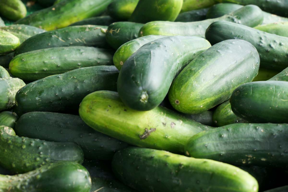 Courgettes, haricots, concombres