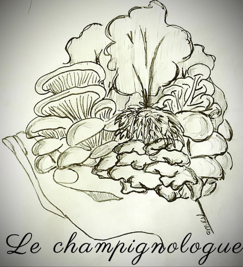 Logo Champignologue