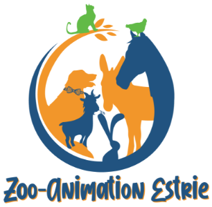Zoo animation